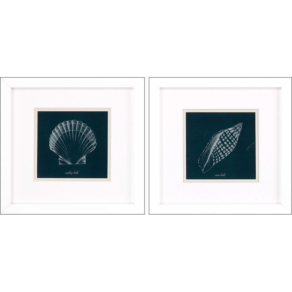 Shell Study on Teal B S/2 - Paragon