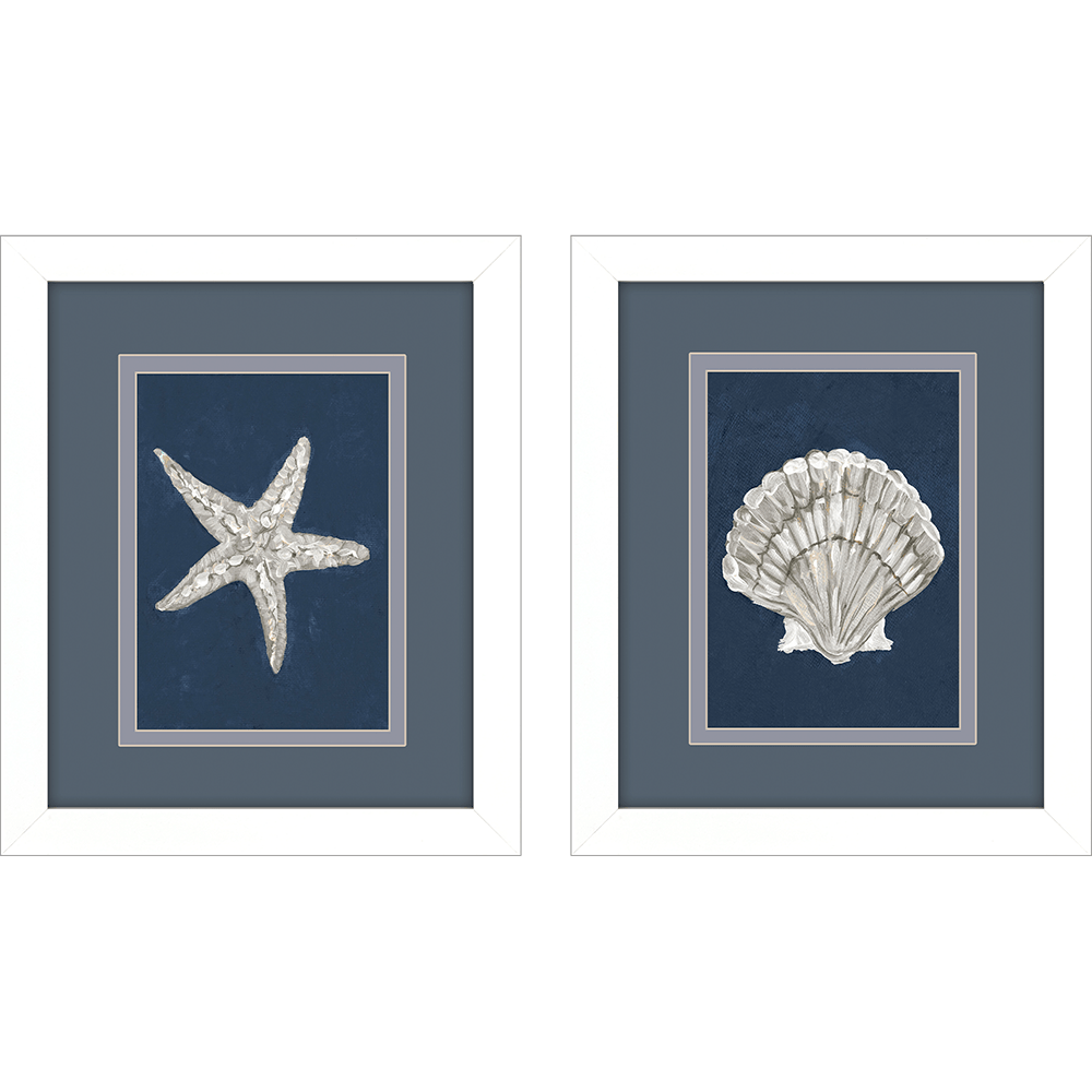 Starfish様 Starfish Scallop S/2 - Paragon